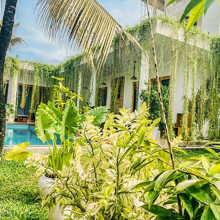 Eton Villa ديكويلاّ تين المظهر الخارجي الصورة