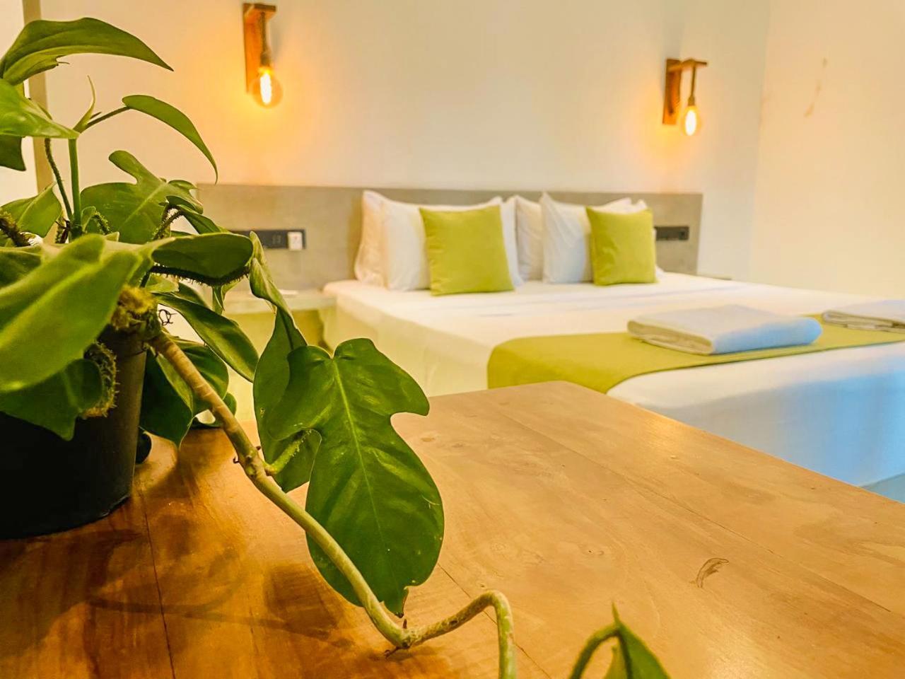 Eton Villa ديكويلاّ تين المظهر الخارجي الصورة