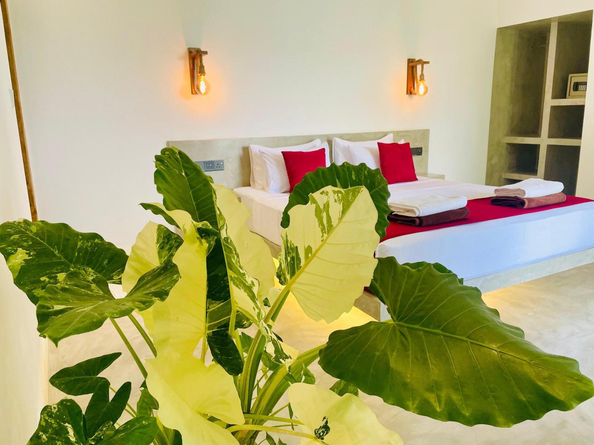 Eton Villa ديكويلاّ تين المظهر الخارجي الصورة